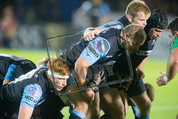 glasgow warriors