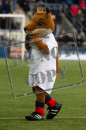 SOCCER Falkirk