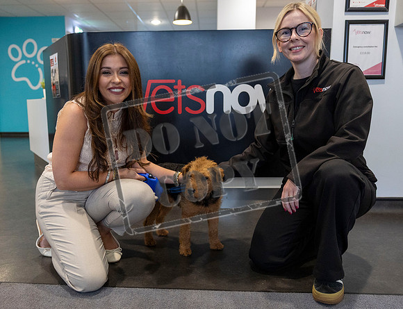FIRST-EVER PET EMERGENCY WEEK