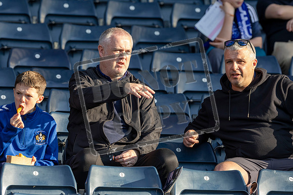dundee v kilmarnock