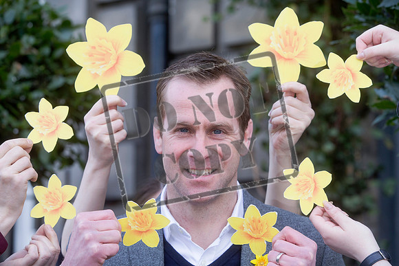 Great Daffodil Appeal