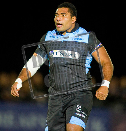Glasgow Warriors Rugby