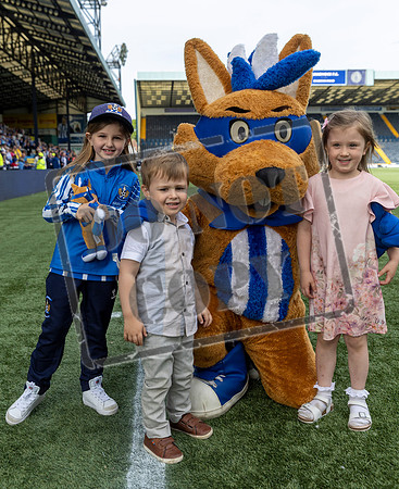kilmarnock v ross county
