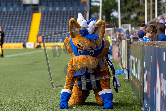 kilmarnock v livingston