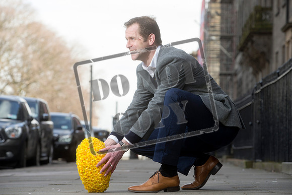 Great Daffodil Appeal