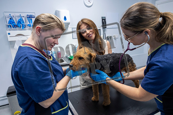 FIRST-EVER PET EMERGENCY WEEK