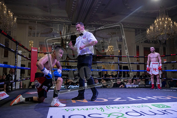Fightzone boxing
