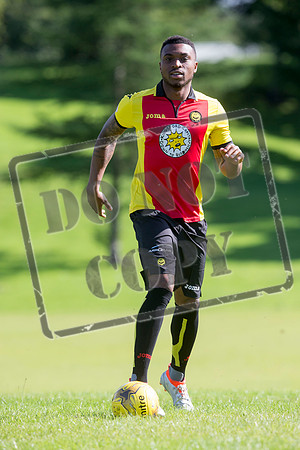 partick thistle