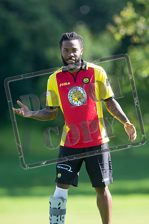 partick thistle