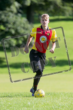 partick thistle