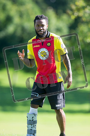 partick thistle