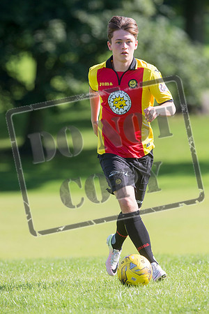 partick thistle