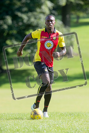 partick thistle