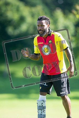 partick thistle