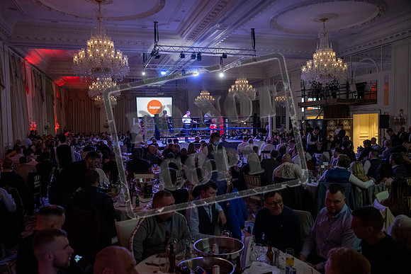 Fightzone boxing