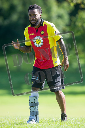 partick thistle