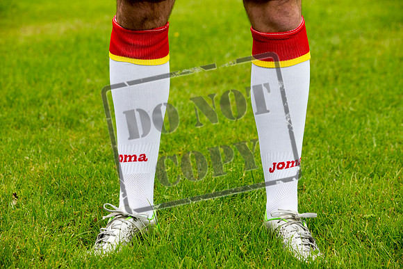 partick thistle
