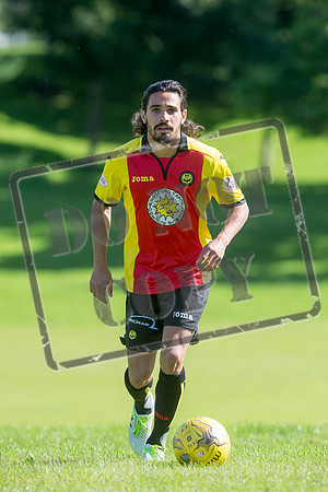 partick thistle