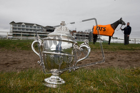 ayr racecourse
