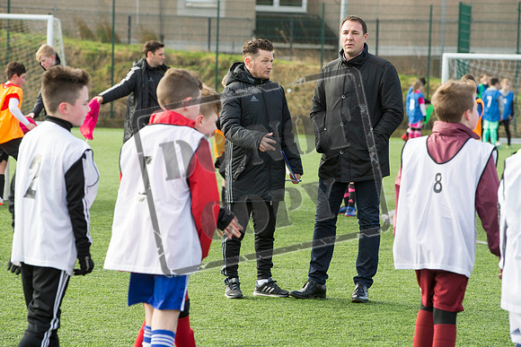 scottish fa