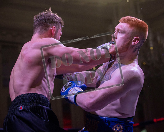 Fightzone boxing