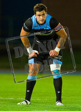 Glasgow Warriors Rugby