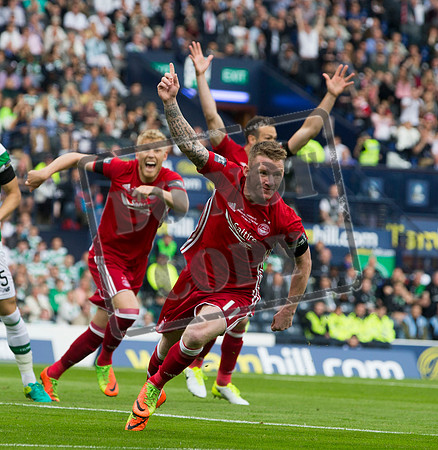 SOCCER Scottish Final