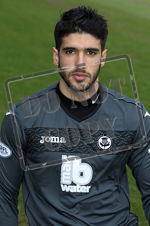 partick thistle/train