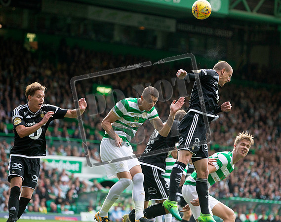 celtic v rosenborg