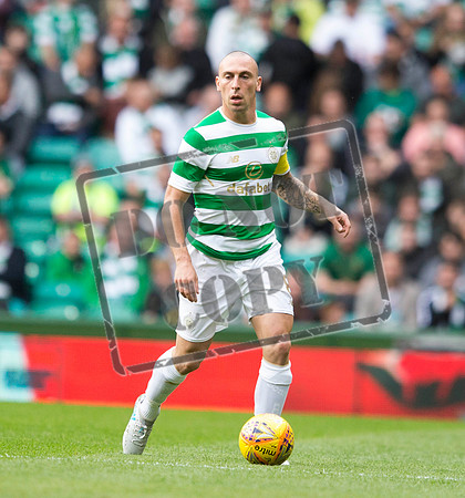 celtic v rosenborg