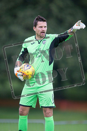 partick thistle