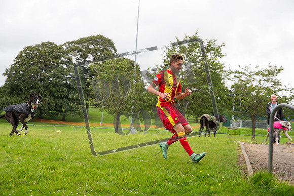 partick thistle