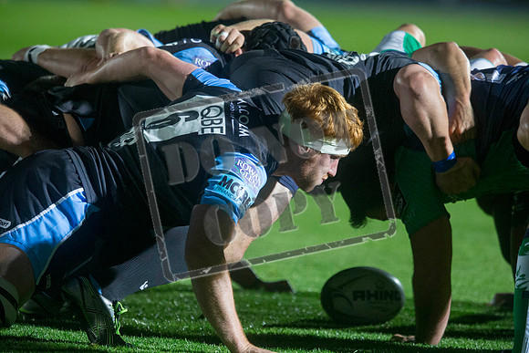 glasgow warriors