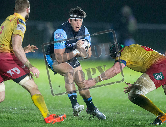 warriors v scarlets