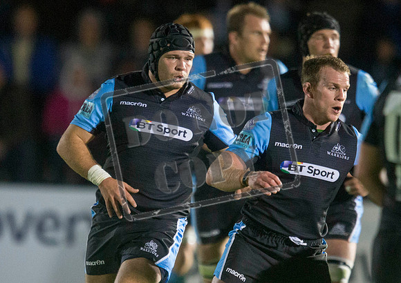 glasgow warriors