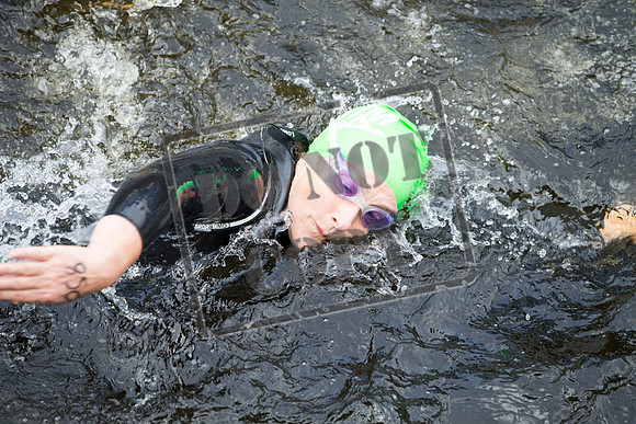 Great Swim