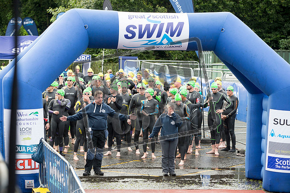 Great Swim