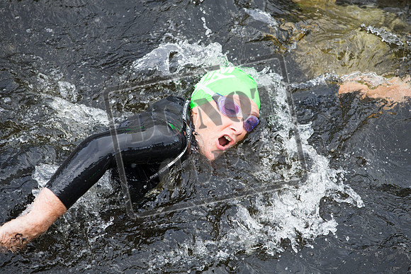 Great Swim