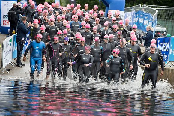 Great Swim
