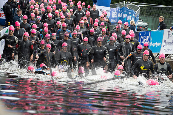 Great Swim