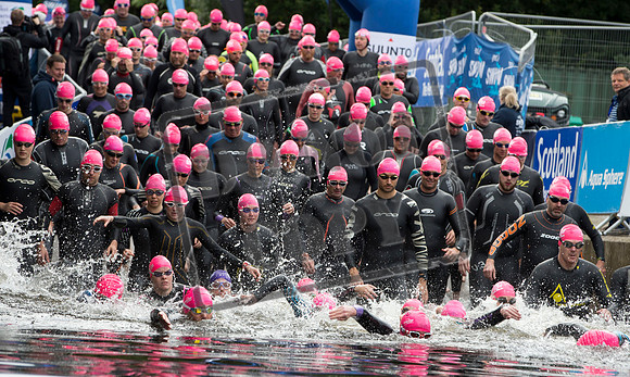 Great Swim
