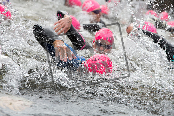 Great Swim