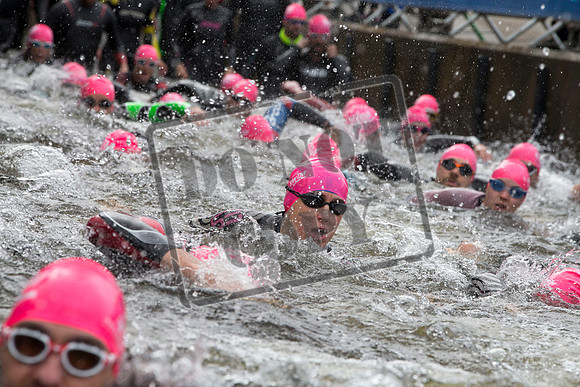 Great Swim