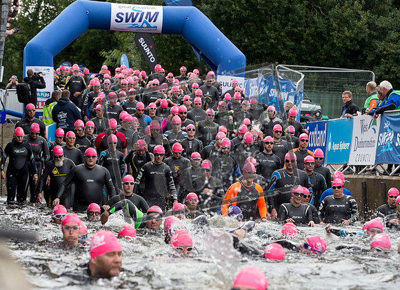Great Swim