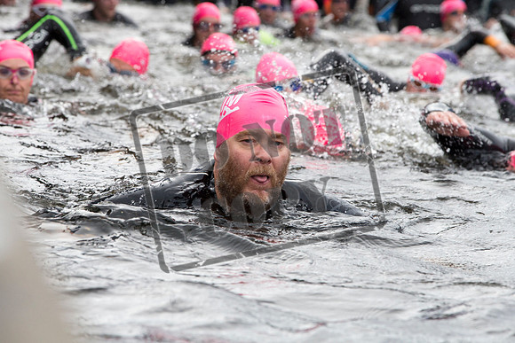 Great Swim