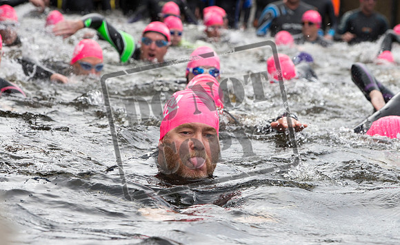 Great Swim