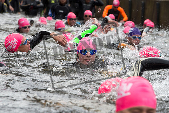 Great Swim