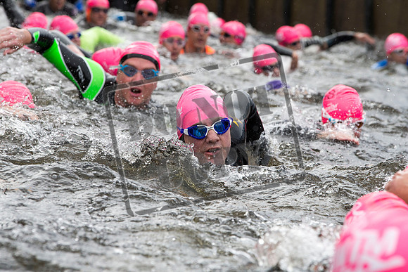 Great Swim