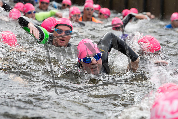 Great Swim