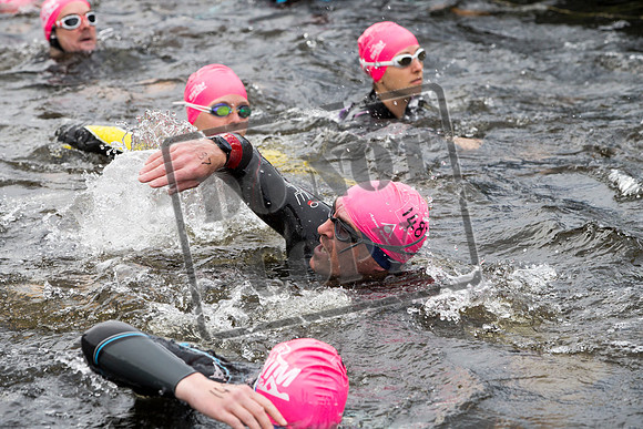 Great Swim
